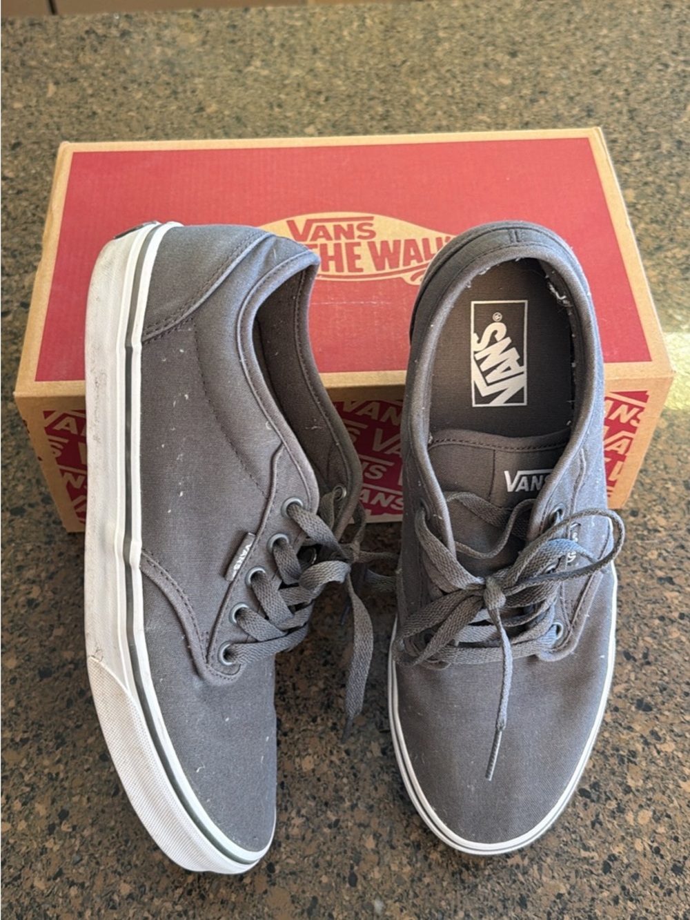 Vans Atwood Shoes